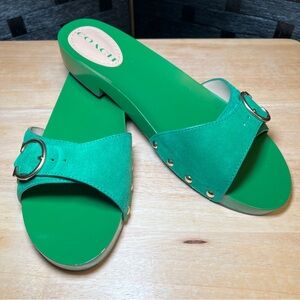 Women’s Size 11 COACH Bleeker Suede Green sandals